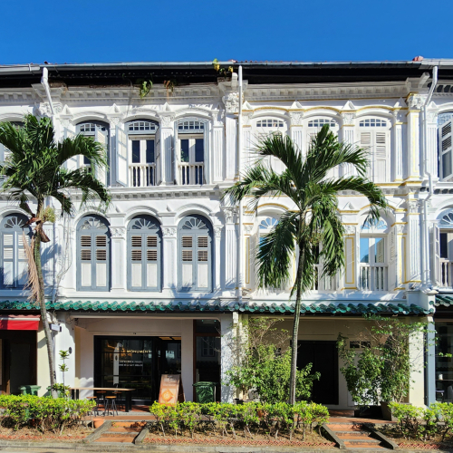 Duxton Shophouse for Sale